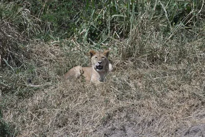 DSC_3656 (Large).JPG